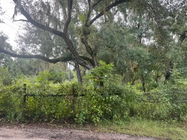 104 Floradandy Road, Hawthorne, FL 32640 - #1