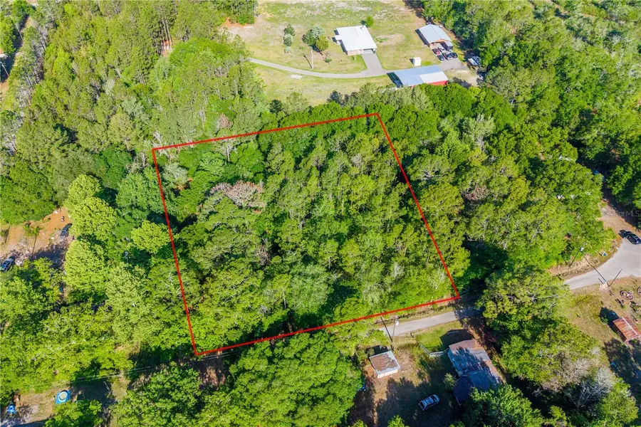 Nw 37th Lane, Starke, FL 32091 - #3