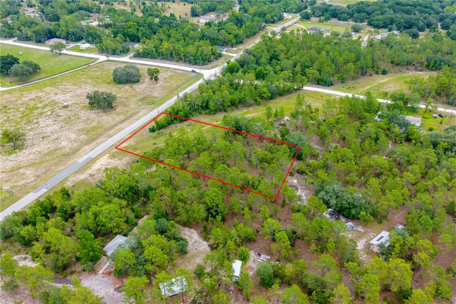 TBD E Levy St, Lot 2, Williston, FL 32696 - #3