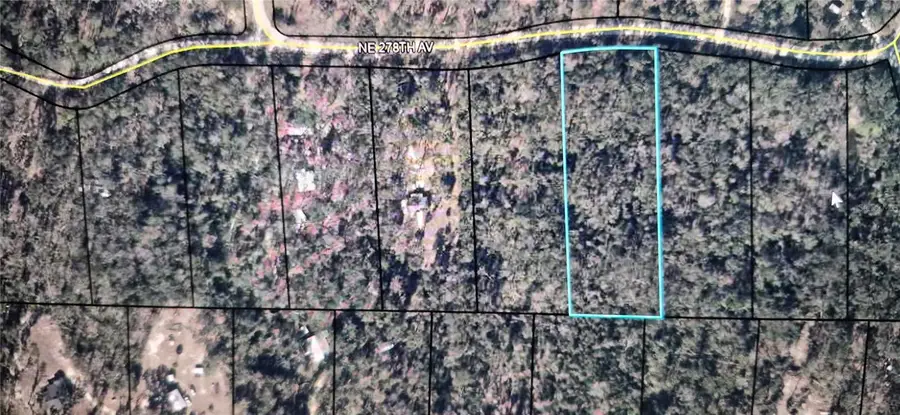NE 278 Ave, Old Town, FL 32680 - #2