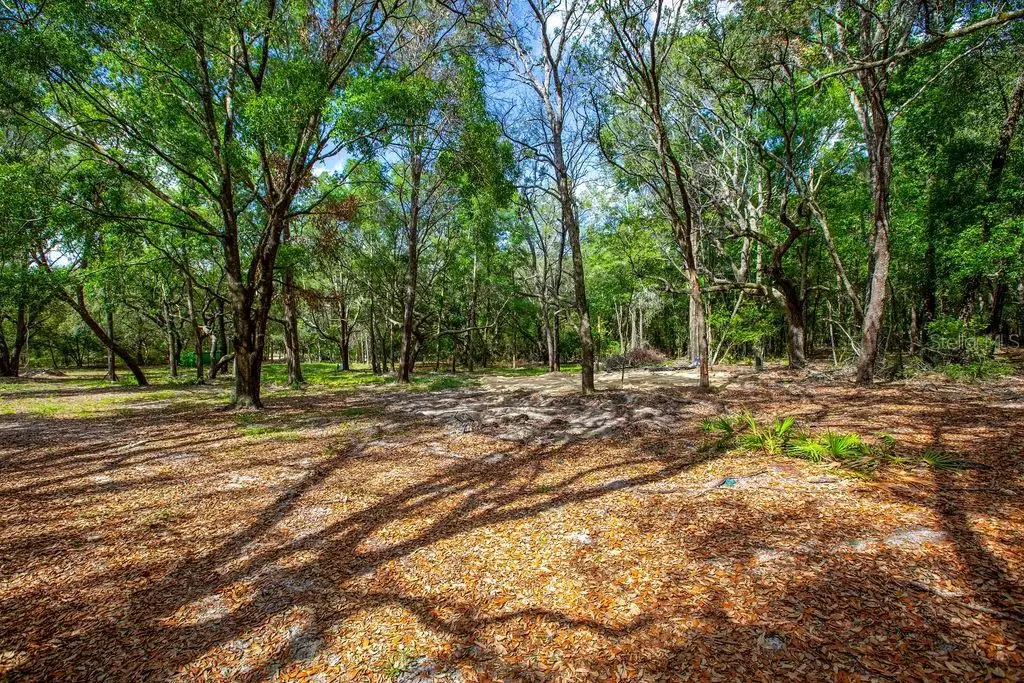 5350 SE 3rd Lane, Trenton, FL 32693 - #1