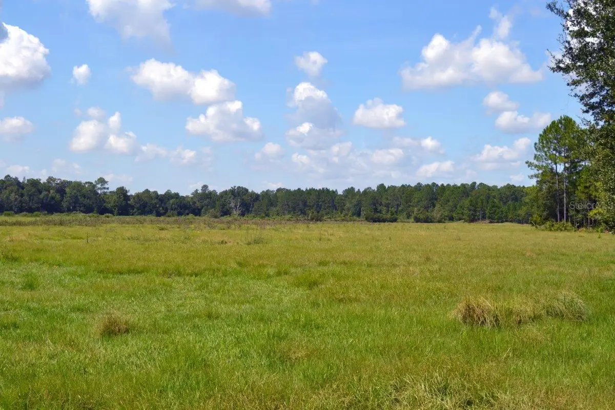 NW 202nd Street, High Springs, FL 32643 - #1