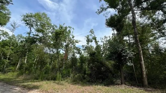 SW Bumble Street, Fort White, FL 32038 - #2