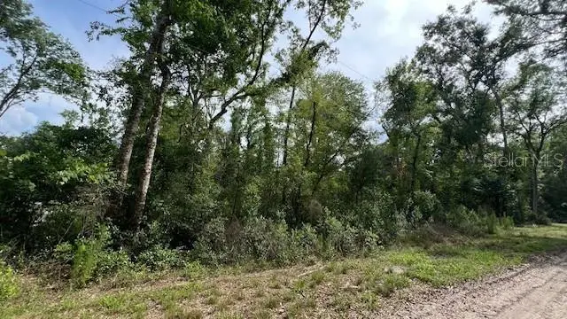 SW Bumble Street, Fort White, FL 32038 - #3