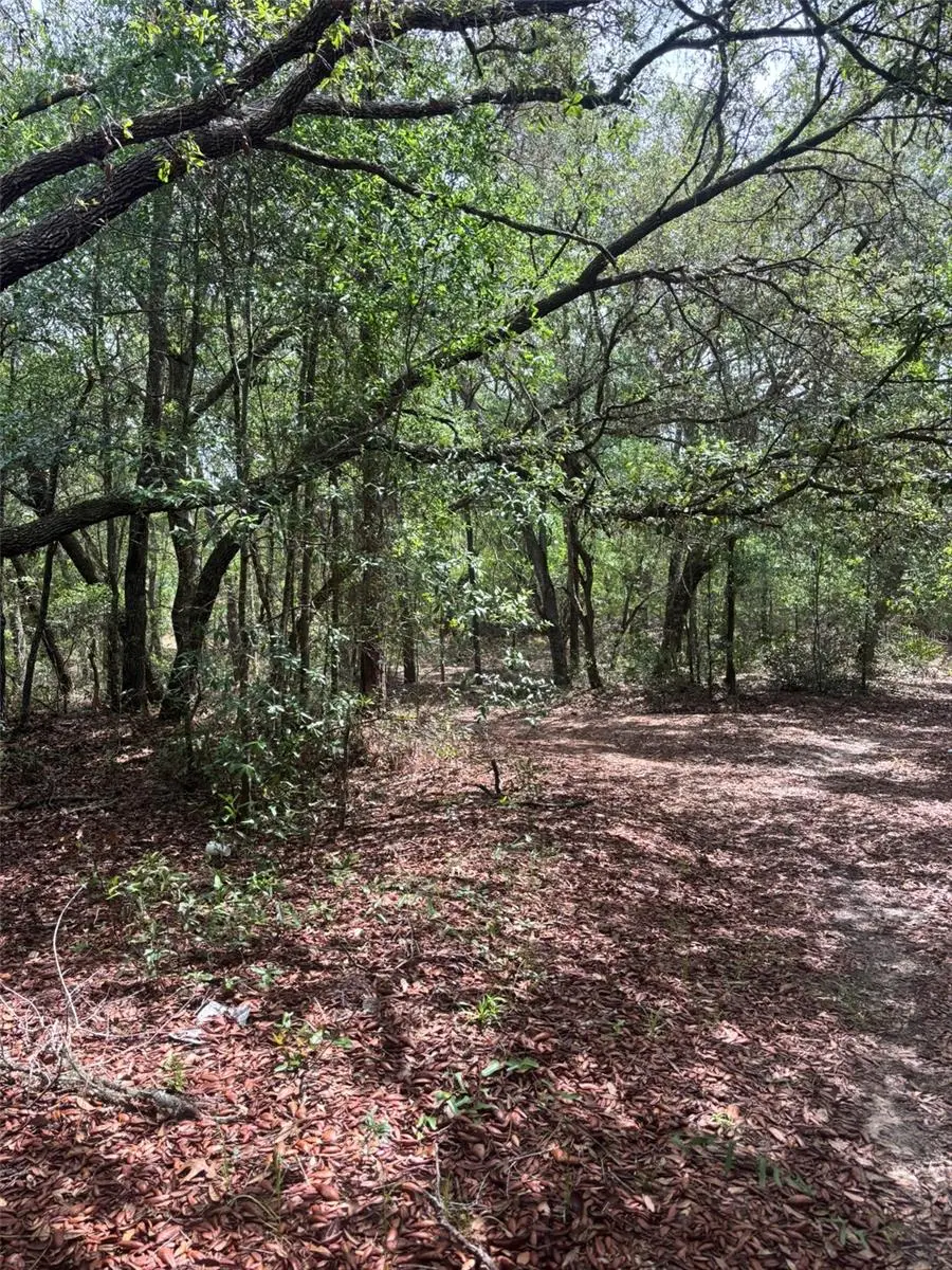83rd Lane, Bronson, FL 32621 - #1