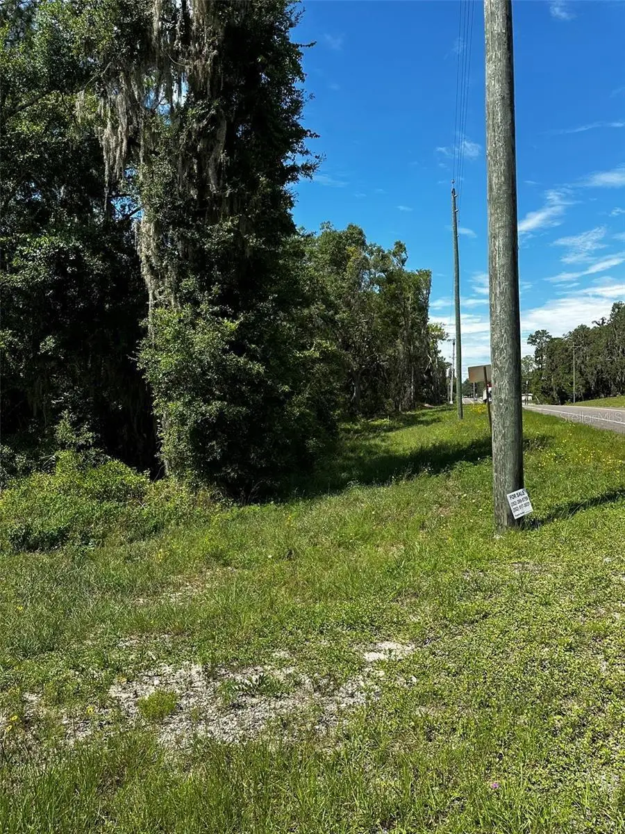 Thrasher Dr, Bronson, FL 32621 - #1
