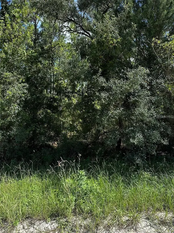 XX SE 21st Place, WILLISTON, FL 32696