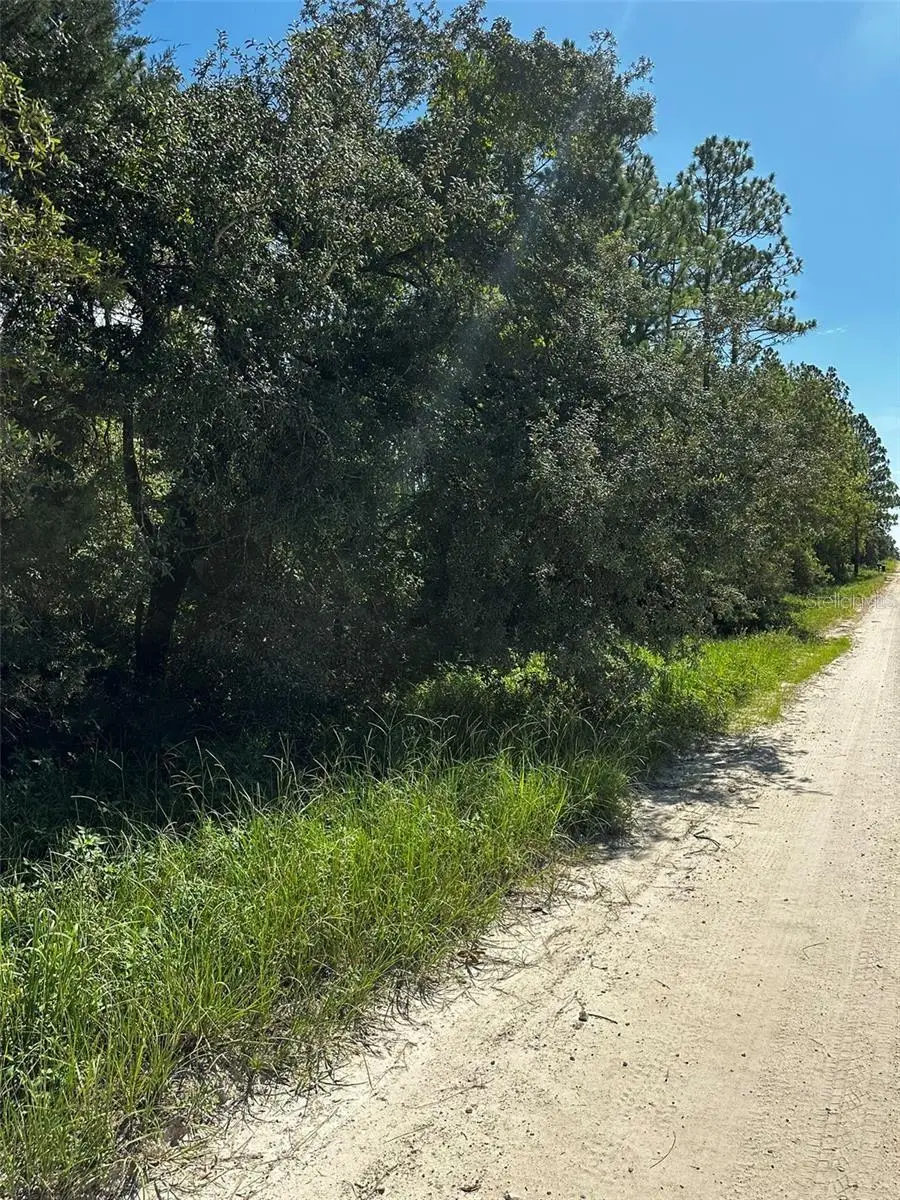 XX SE 21st Place, Williston, FL 32696 - #2