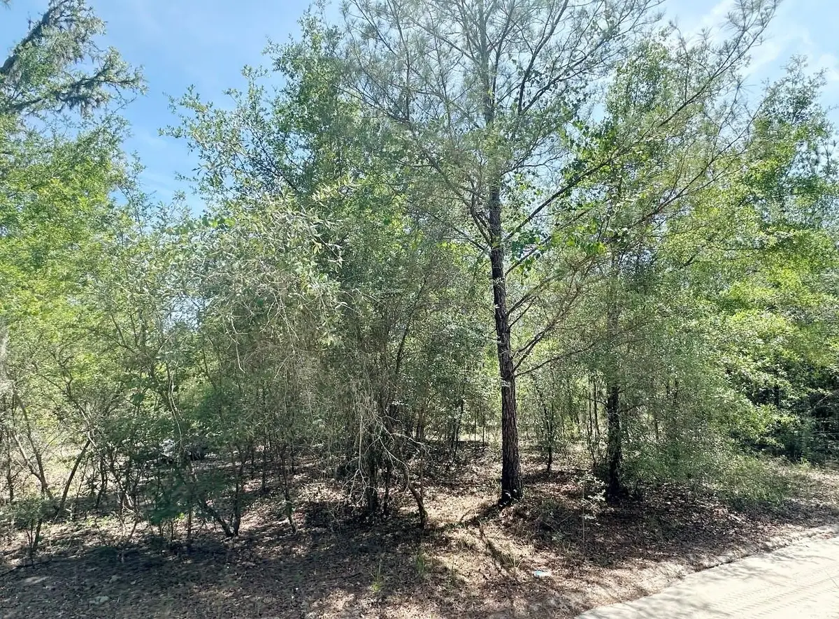 7930 NE 121st Street, Bronson, FL 32621 - #1