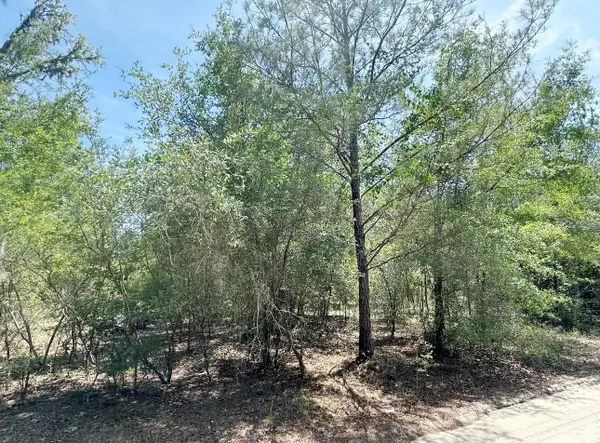 7930 NE 121st Street, BRONSON, FL 32621