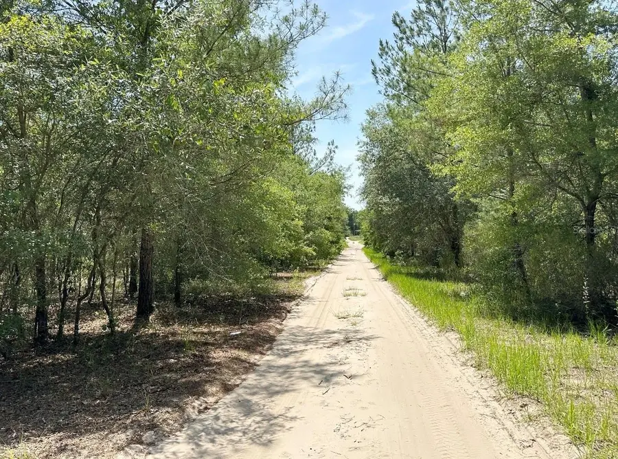 7930 NE 121st Street, Bronson, FL 32621 - #2