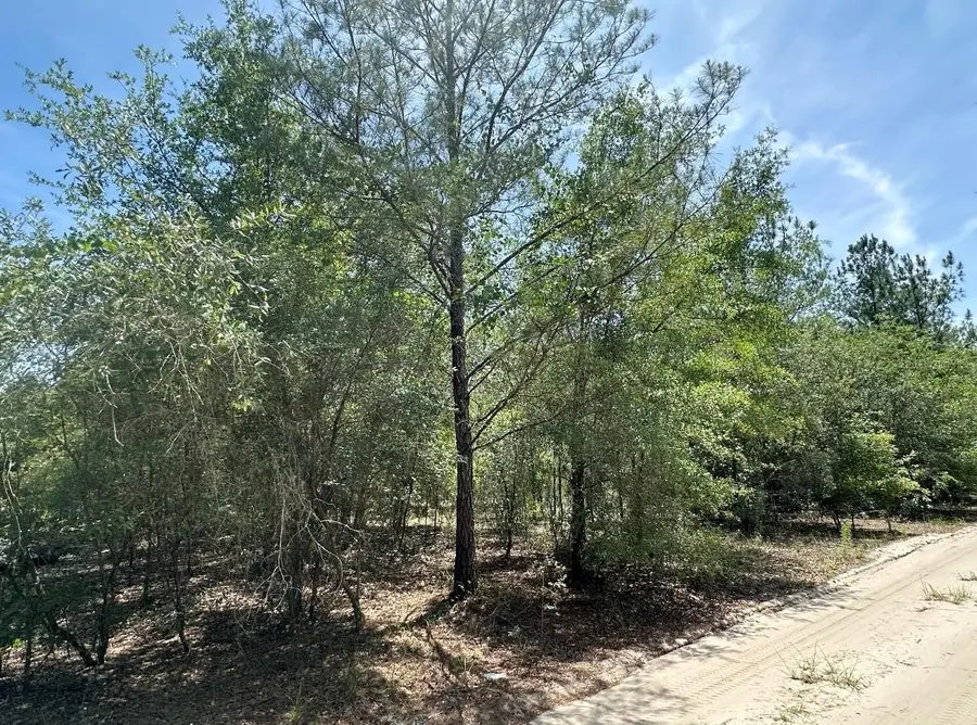 7930 NE 121st Street, Bronson, FL 32621 - #3
