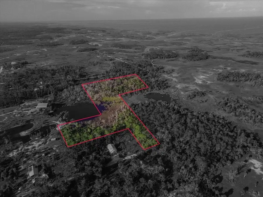 TBD SW 276 Avenue, Steinhatchee, FL 32359 - #2