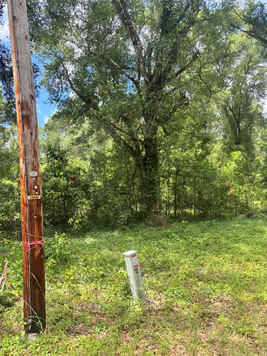 8230 NW 166th Street, Fanning Springs, FL 32693 - #2