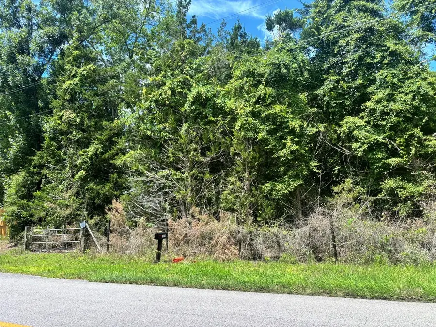 11916 NW 80th Court, Chiefland, FL 32626 - #3