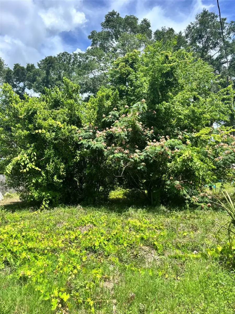 206 NE 13th Avenue, Chiefland, FL 32626 - #1