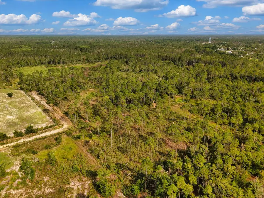 Lukayce Lane, Steinhatchee, FL 32359 - #2
