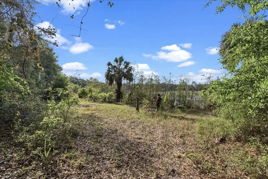 138 Hutchinson Lane, Hawthorne, FL 32640 - #3