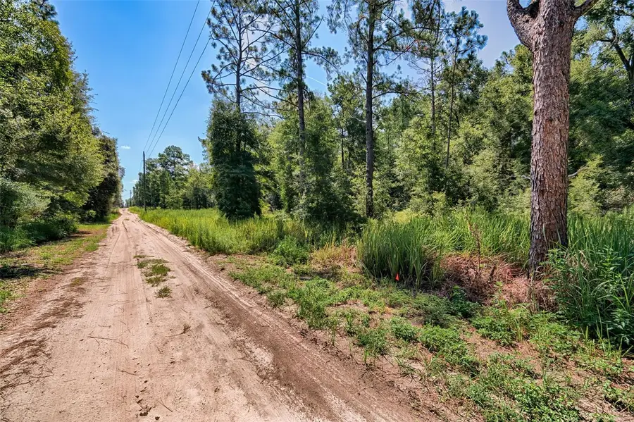 TBD NE 82nd Place, Bronson, FL 32621 - #2