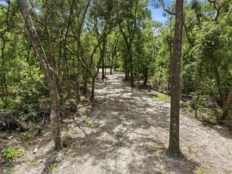 Lot 4 NW 78th Avenue, Chiefland, FL 32626 - #3