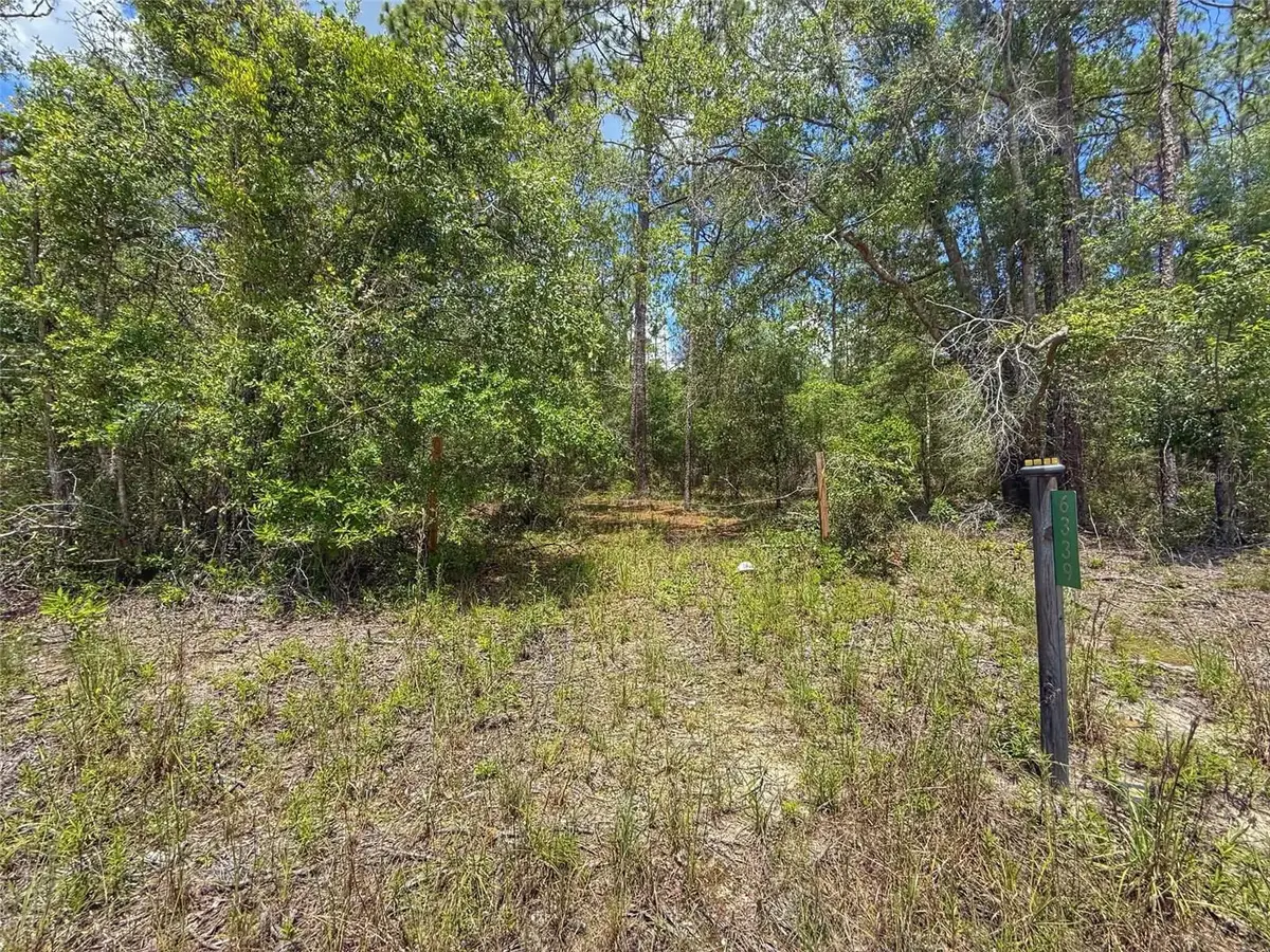 6339 NW 17th Court, Bell, FL 32619 - #1