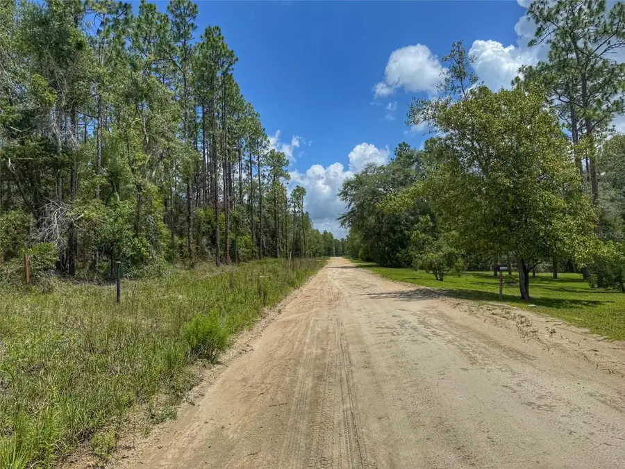 6339 NW 17th Court, Bell, FL 32619 - #2
