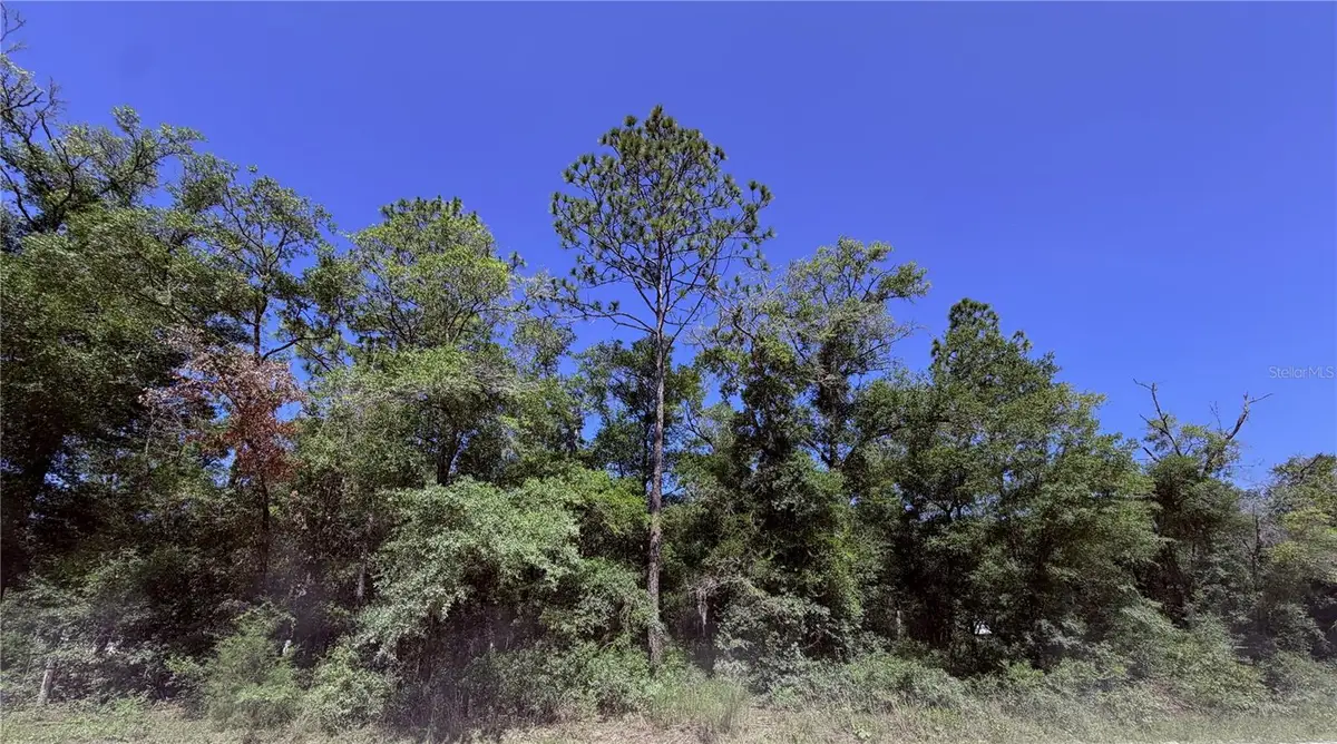 0 NE 90th Avenue #LOT 14-A, Bronson, FL 32621 - #1