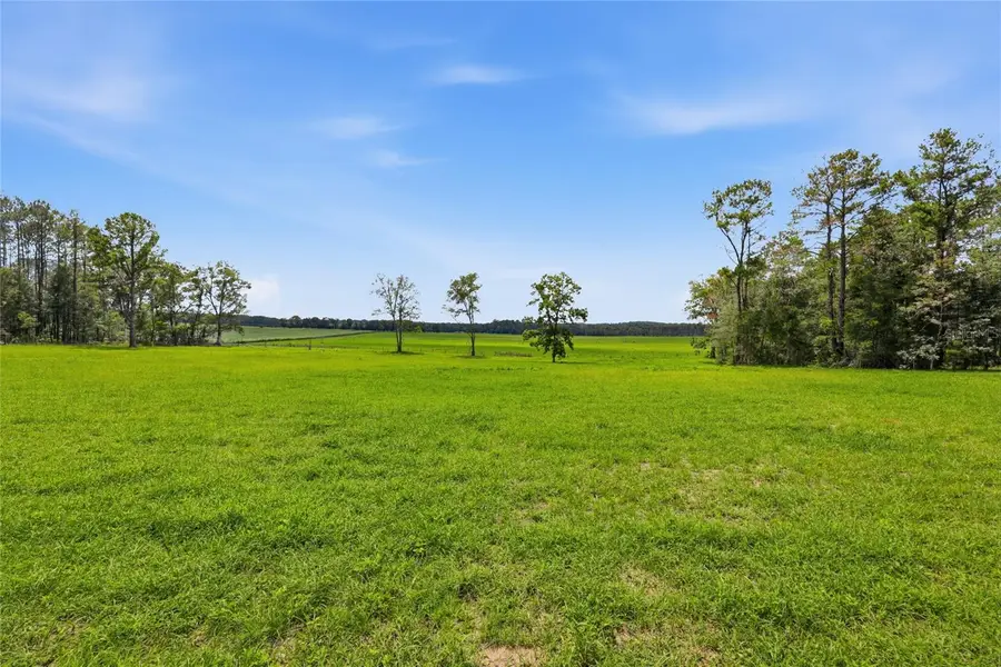 Lot 19 254th Lane, Alachua, FL 32615 - #3
