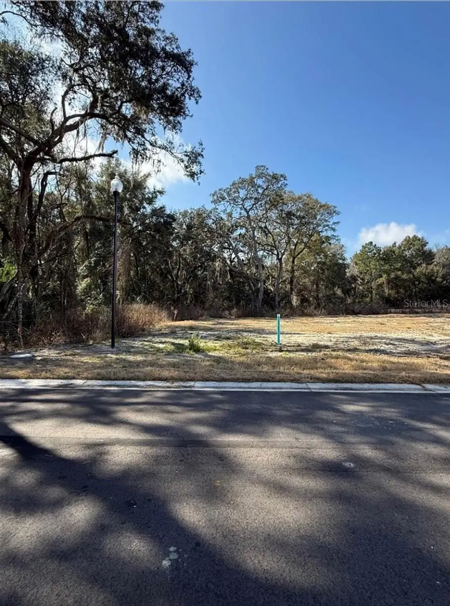 2630 SW 250th Terrace, Newberry, FL 32669 - #2