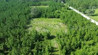 SW Carpenter Road W, LAKE CITY, FL 32024