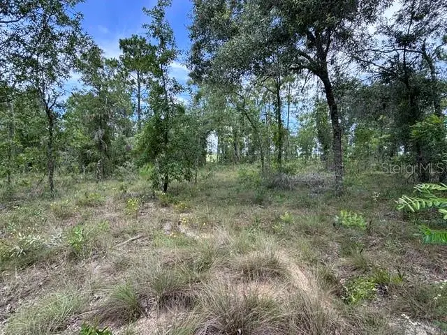 SE 16 Lane, Morriston, FL 32668 - #1