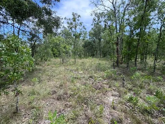 SE 16 Lane, Morriston, FL 32668 - #2