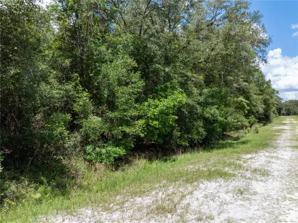 Lot 53 SW Roanoke Terrace, FORT WHITE, FL 32038