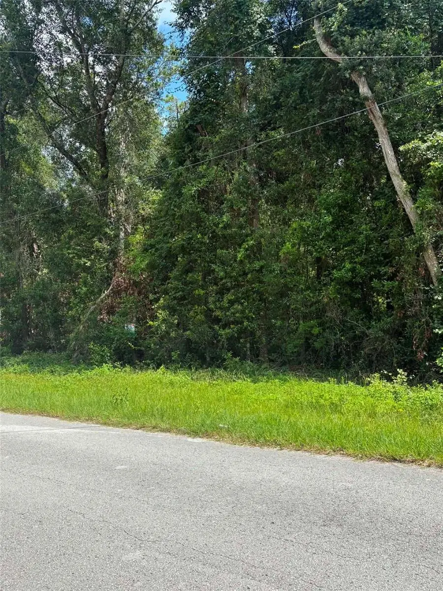0000 NW 166th Street, Trenton, FL 32693 - #1