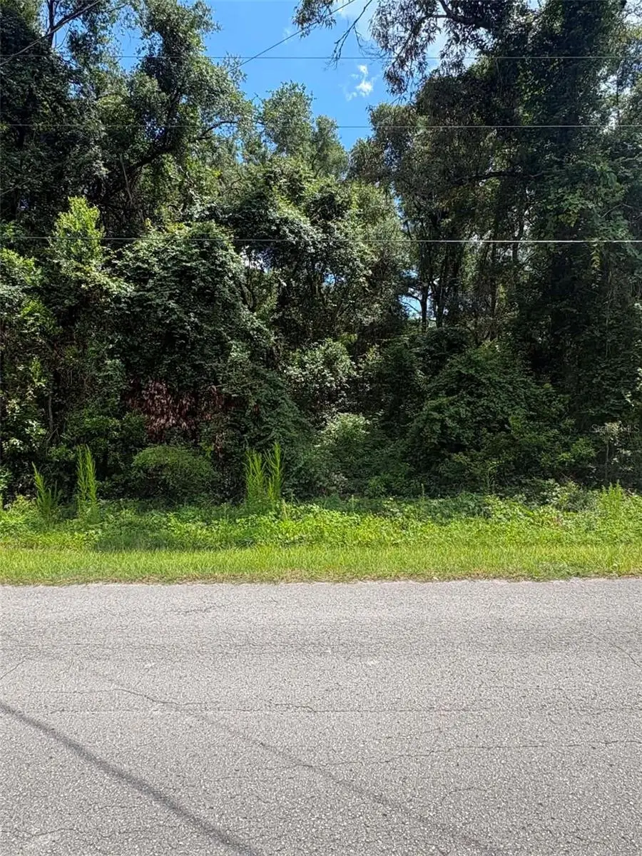 0000 NW 166th Street, Trenton, FL 32693 - #2