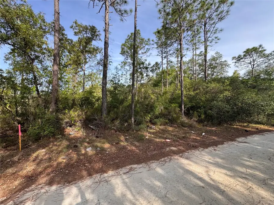 TBD NE 76th, Bronson, FL 32621 - #2