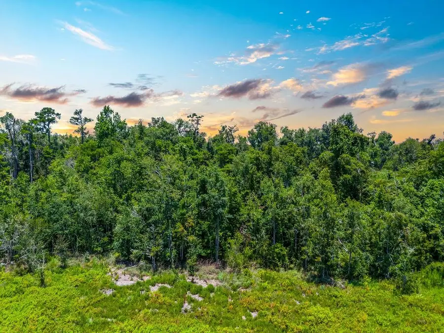 7679 NW 28th Street, Jennings, FL 32053 - #3