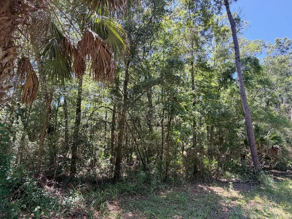 0 SE Hwy 19, Inglis, FL 34449 - #1