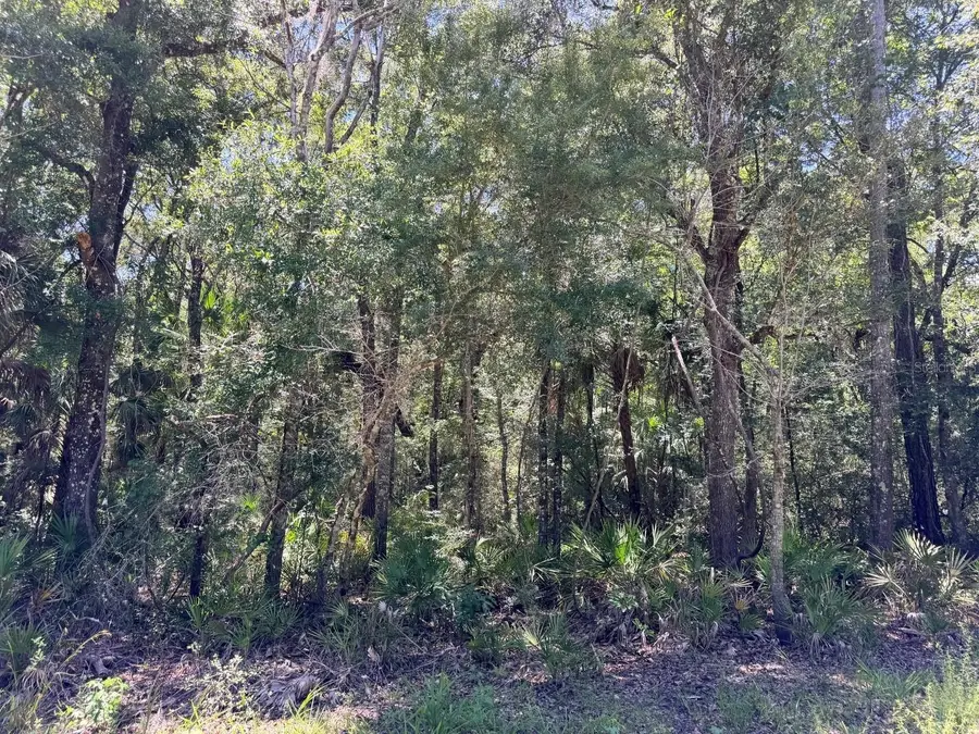 0 SE Hwy 19, Inglis, FL 34449 - #3