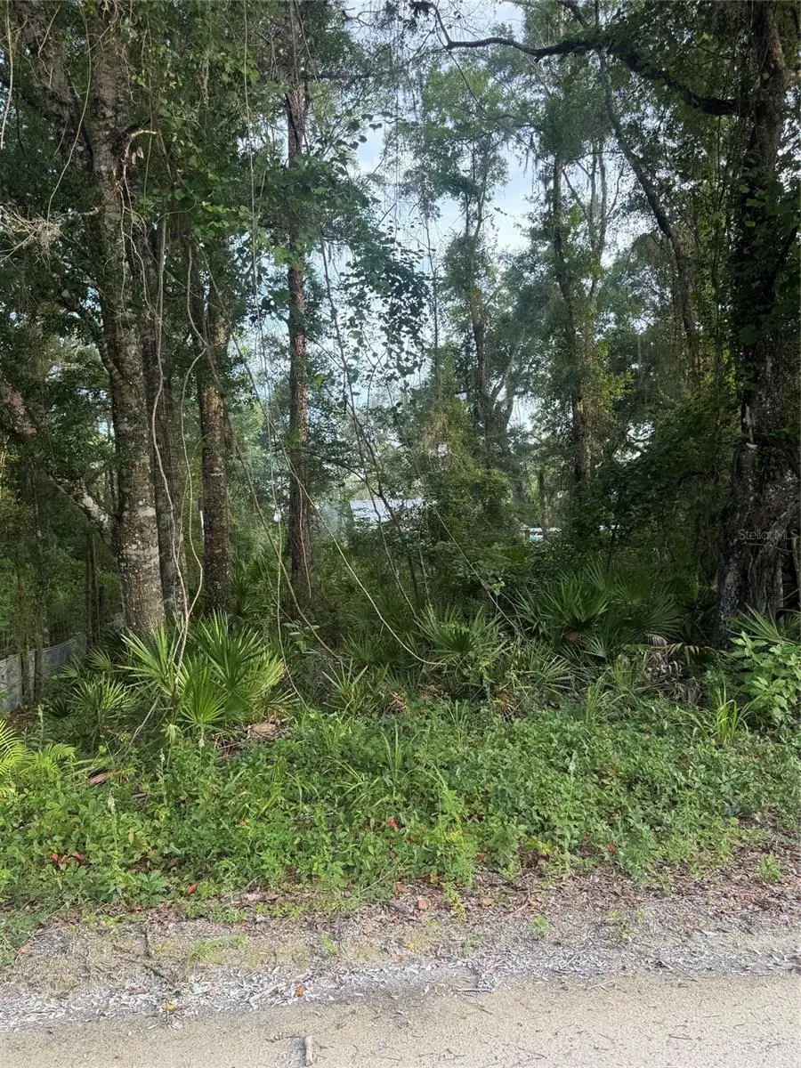 472 NE Avenue Avenue #200, Old Town, FL 32680 - #2
