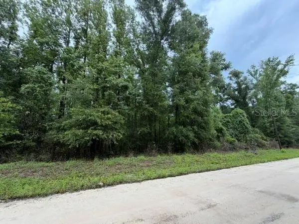 NE 312th Avenue, OLD TOWN, FL 32680