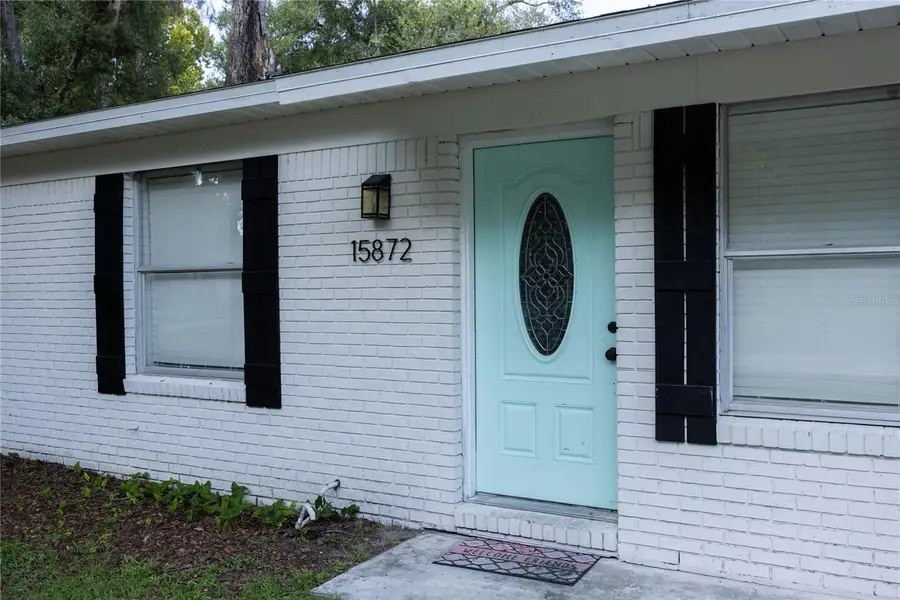 15872 SW 133rd Lane, Archer, FL 32618 - #3