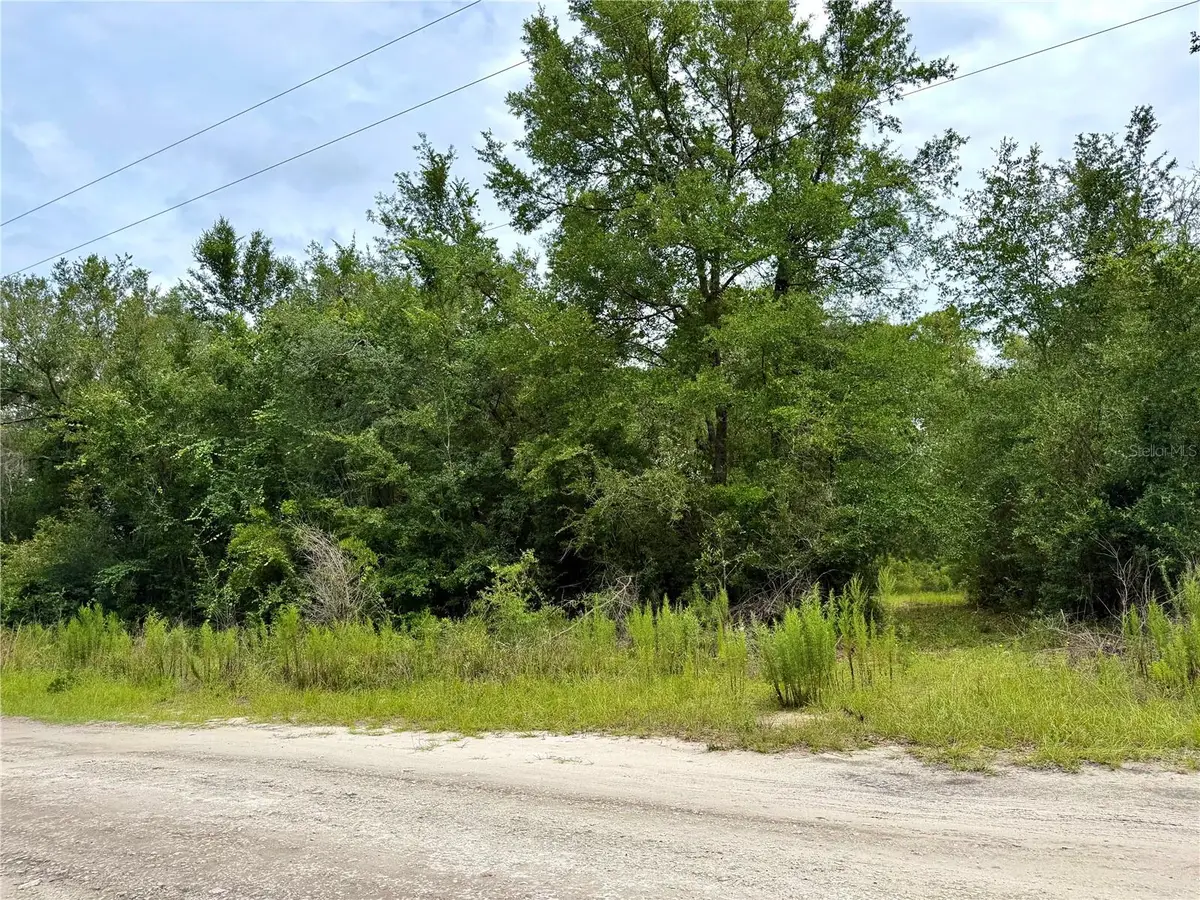 12790 NE 78 Terrace, Bronson, FL 32621 - #1