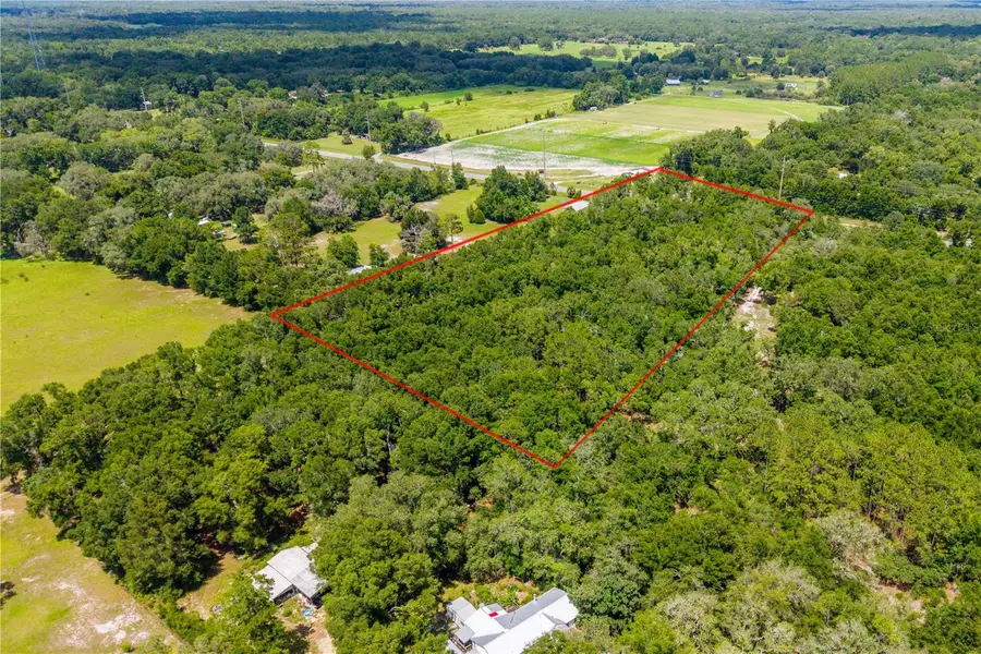 TBD NE 349 , Lot 15 Highway, Old Town, FL 32680 - #2