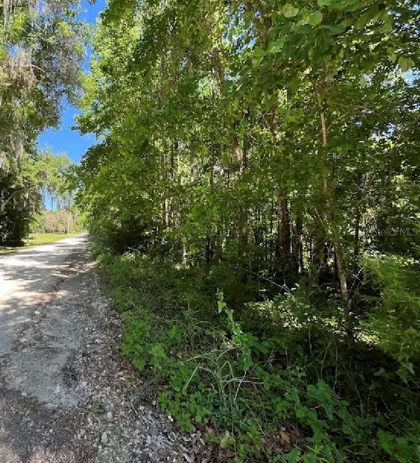 14220 NW 182nd Lane, WILLISTON, FL 32696