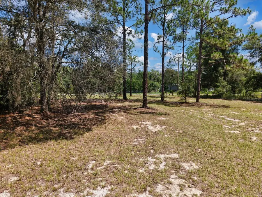 54 NE 841st Avenue, Old Town, FL 32680 - #3