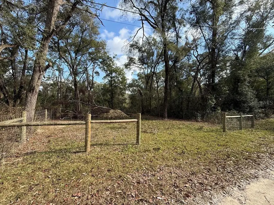 255 SE 917 Street, Cross City, FL 32628 - #3