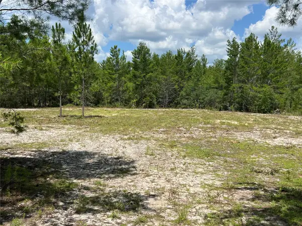 179th Place, ARCHER, FL 32618