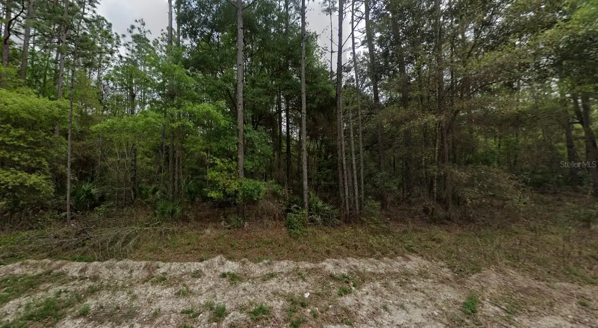 NE 821st Street, Old Town, FL 32680 - #1
