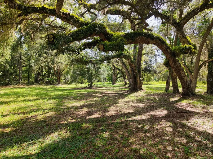 11 NE 434th Street, Old Town, FL 32680 - #2